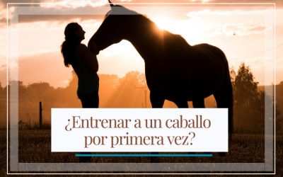 ¿Entrenar a un caballo por primera vez?
