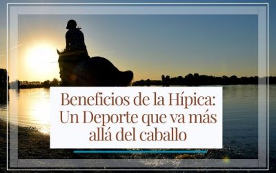 Beneficios de la Hípica: Un Deporte que va más allá del caballo